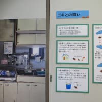 企画展　ゴキの真実「のぞいて楽しむゴキブリの世界」（2025）・・・鹿児島県立博物館