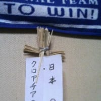 結婚記念日 1年目 ねこの しっぽ