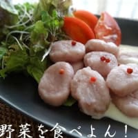 シャドークィーンとノーザンルビー♪