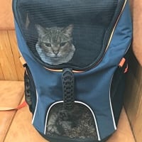 2025年 明けましておめでとうございます。