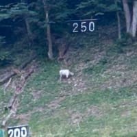 え？なに！？