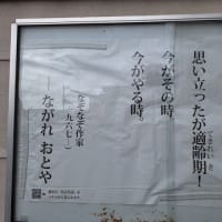 ドジャース本拠地は投手に有利な球場同球団での50本塁打は他球団とは違う価値あり・・・　現状維持が向上！