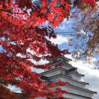 １１月の稽古予定