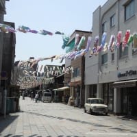 桜咲く４月の空に鯉のぼり／そぞろ歩いて振り返りつつ（大正浪漫夢通り）