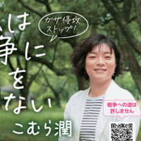 尼崎市会議員選挙の結果に思う