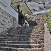 月例会ハイキングで忍者の里を散策！・・・伊賀上野城