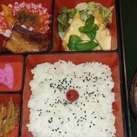 特製弁当・レストラン樹林本日のランチ