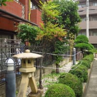 庭の梅の木をブロック。