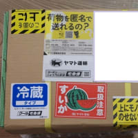 刈谷市名産スイカ