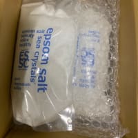 届きました!