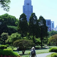 新宿御苑からドコモタワー