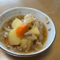 今日の夕飯