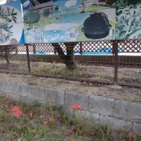 芦屋町砂像展のお知らせ