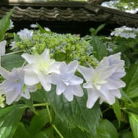 写真投稿の練習
