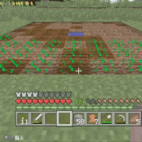 (マイクラ)畑を作って安定した食料を取る。
