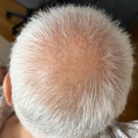 もしかして、もしかした？