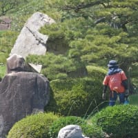そして、今週も地元エリアでウロウロドライブ、、、その１（計５９枚）