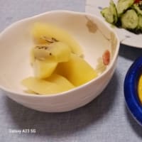 暑くて動きたくない