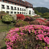 16年後の山のホテル