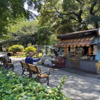 日比谷公園に売店が在る風景