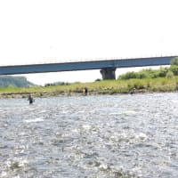 4回目のアユ釣り（鬼怒川・柳田橋）