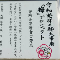 大宰府市の散策記　on　2025-4-9＆4-10　その10　坂本八幡宮