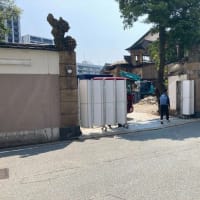 今年もあと半年【福岡市社交ダンス教室・福岡市社交ダンススタジオ・薬院、渡辺通、柳橋・福岡のダンススクールライジングスター】