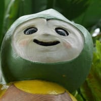 なるほど、そうなのね！