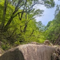 奥信濃の渓