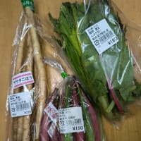 初顔野菜調理法