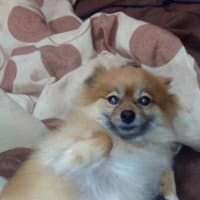 おかえり