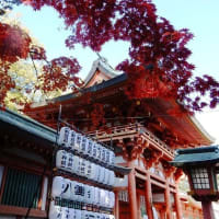 大宮氷川神社の紅葉
