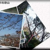 和歌山での風景画