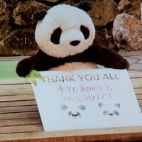 パンダ4頭中国に返還されて和歌山を出発
