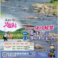 足羽川漁協の2023年度鮎友釣り遊漁証販売開始