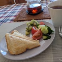 ホットサンドでランチ
