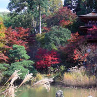 池と紅葉と三重塔