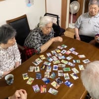 桜花のかるた大会🌸