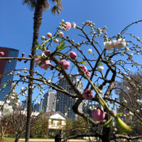 三田台公園にて