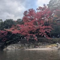 保津峡紅葉ダウンリバー