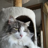 今日の2匹ちゃん