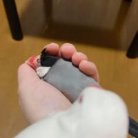 雑記つめ合わせ