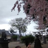 2023/04/16