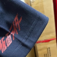 シン仮面ライダーって何なの?（バカT購入）