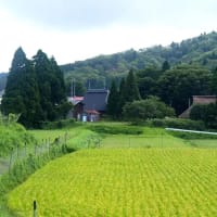 滋賀県・高島市の「在原の棚田と集落」