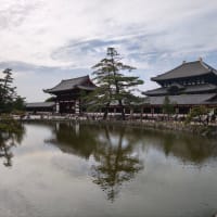 奈良に来ました