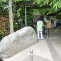 「牧野記念庭園（東京都練馬区立）にいってきました」23