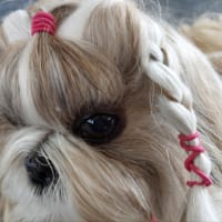凛ちゃんの目も回復