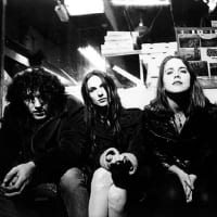 1088. Veruca Salt