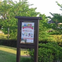 エコきち・・モネの池3